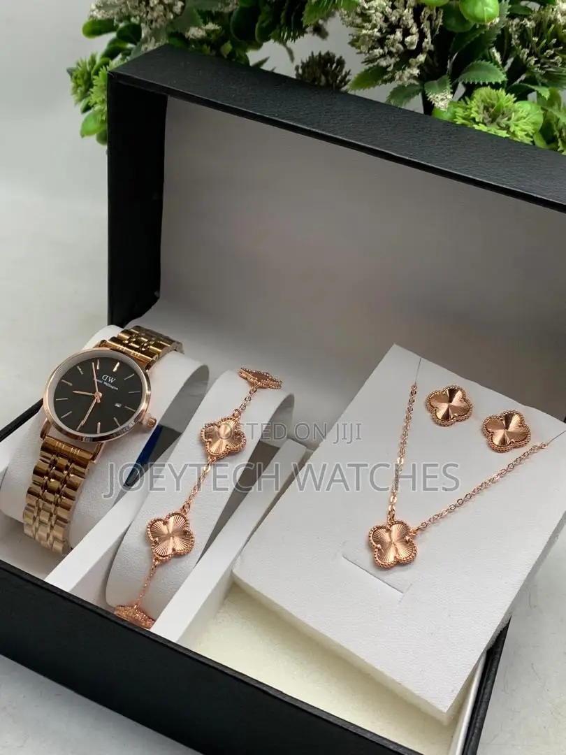 DW Premium Ladies Watch Set
