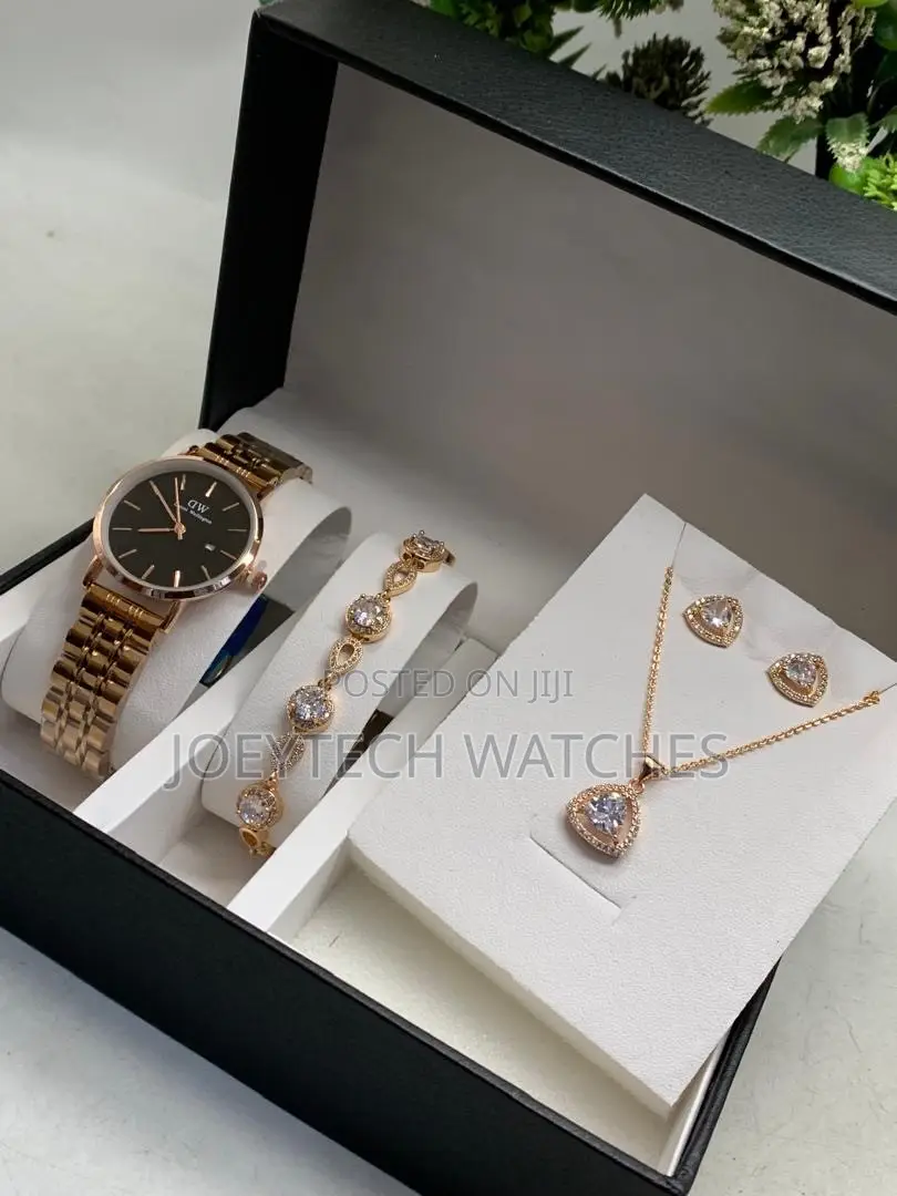 DW Premium Ladies Watch Set