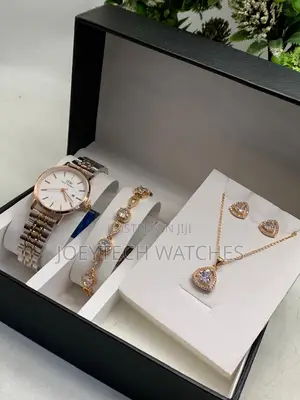 DW Premium Ladies Watch Set