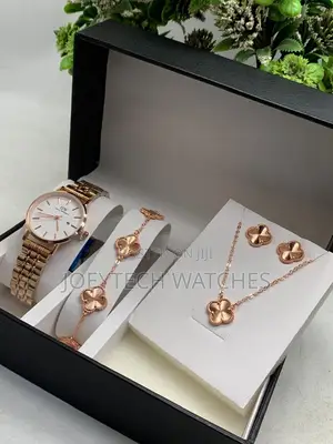 DW Premium Ladies Watch Set