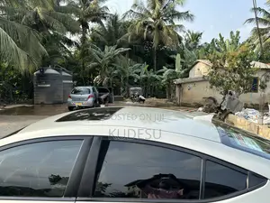 Hyundai Elantra 2019 Gray