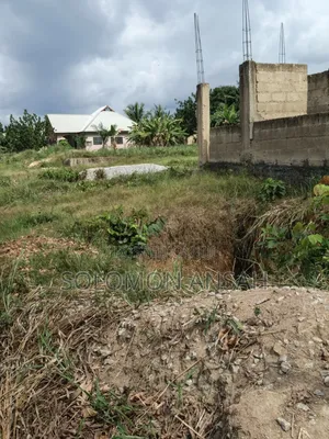 Two Plot With Proposed Guest House Structure  for Sale at Abuontem