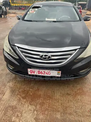 Hyundai Sonata 2013 Blue
