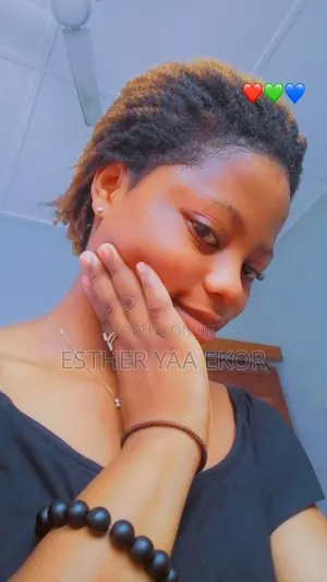 SHS Graduate Seeking  Online Partime Job. I Can Be a Chat Support