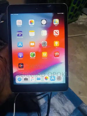 Apple iPad mini 2 16 GB Gray