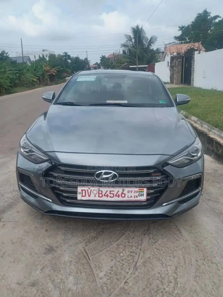 Hyundai Elantra Sport 2018 Gray