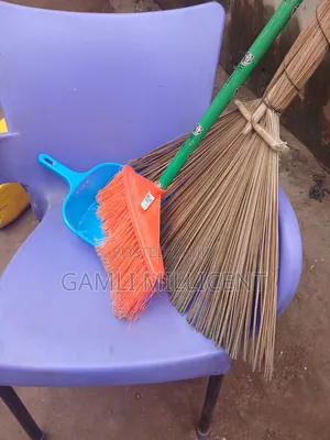 House to House Cleaning