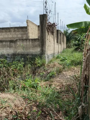 Two Plot With Proposed Guest House Structure  for Sale at Abuontem