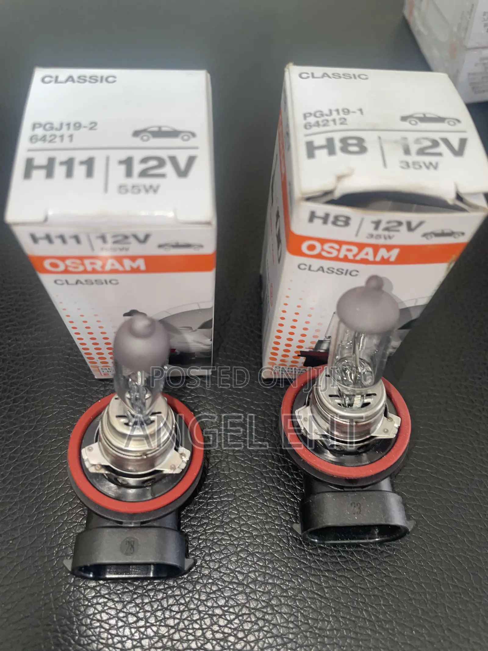 Standard High Beam and Low Beam Foglights and Headlights Available