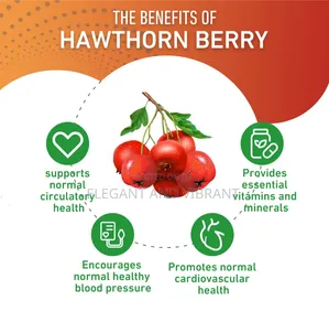Hawthorn Berry 20:1 Extract 8000mg -Heart, Cardiovascular Health,