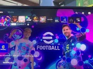 PS5/PS4 Online and Offline Accounts