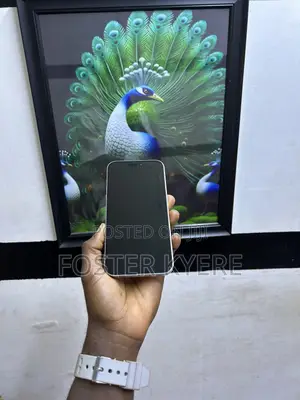 New Apple iPhone 13 Pro Max 128 GB White