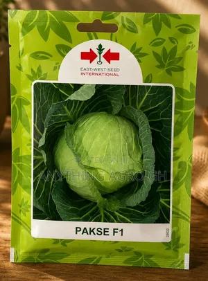 Hybrid Cabbage (Pakse F1)