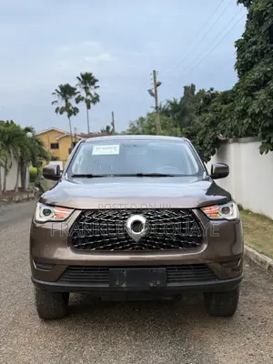 Great Wall Pao 2.0 Petrol AWD 2020 Brown
