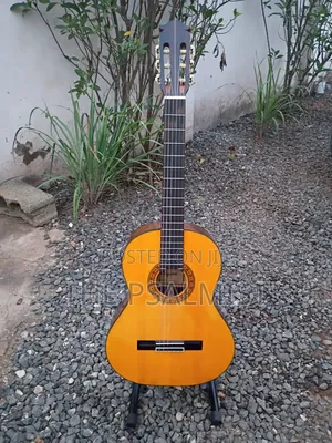 Kingston C- 120 Classical Guitar With Hard Case Bag