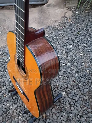 Kingston C- 120 Classical Guitar With Hard Case Bag