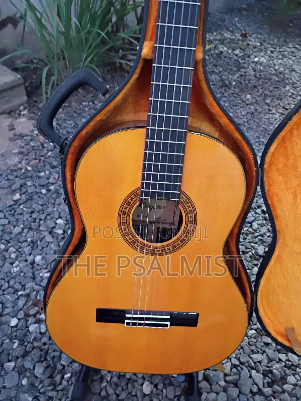 Kingston C- 120 Classical Guitar With Hard Case Bag