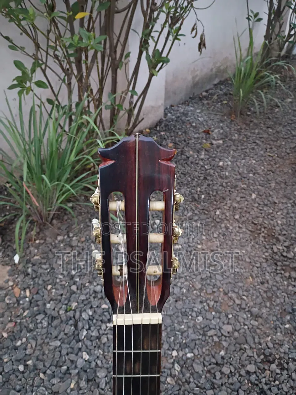 Kingston C- 120 Classical Guitar With Hard Case Bag
