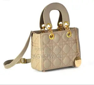 Ladies Handbag