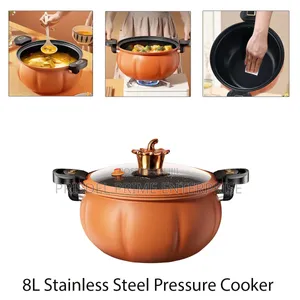 2Pieces Soup Pot Pressure Cooker