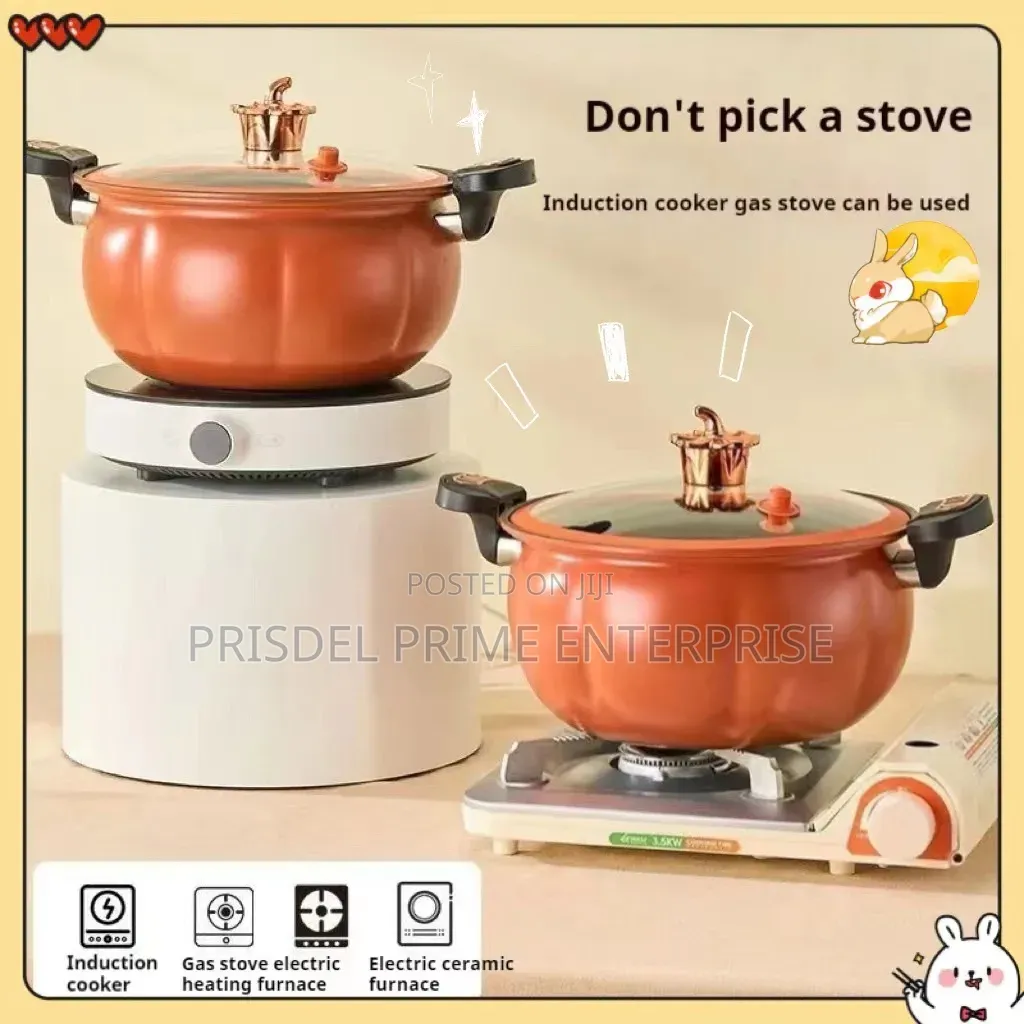 2Pieces Soup Pot Pressure Cooker