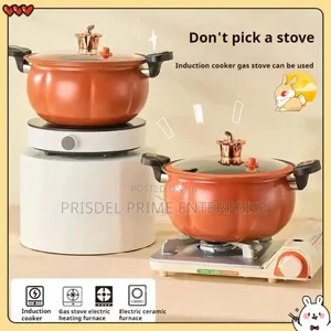 2Pieces Soup Pot Pressure Cooker