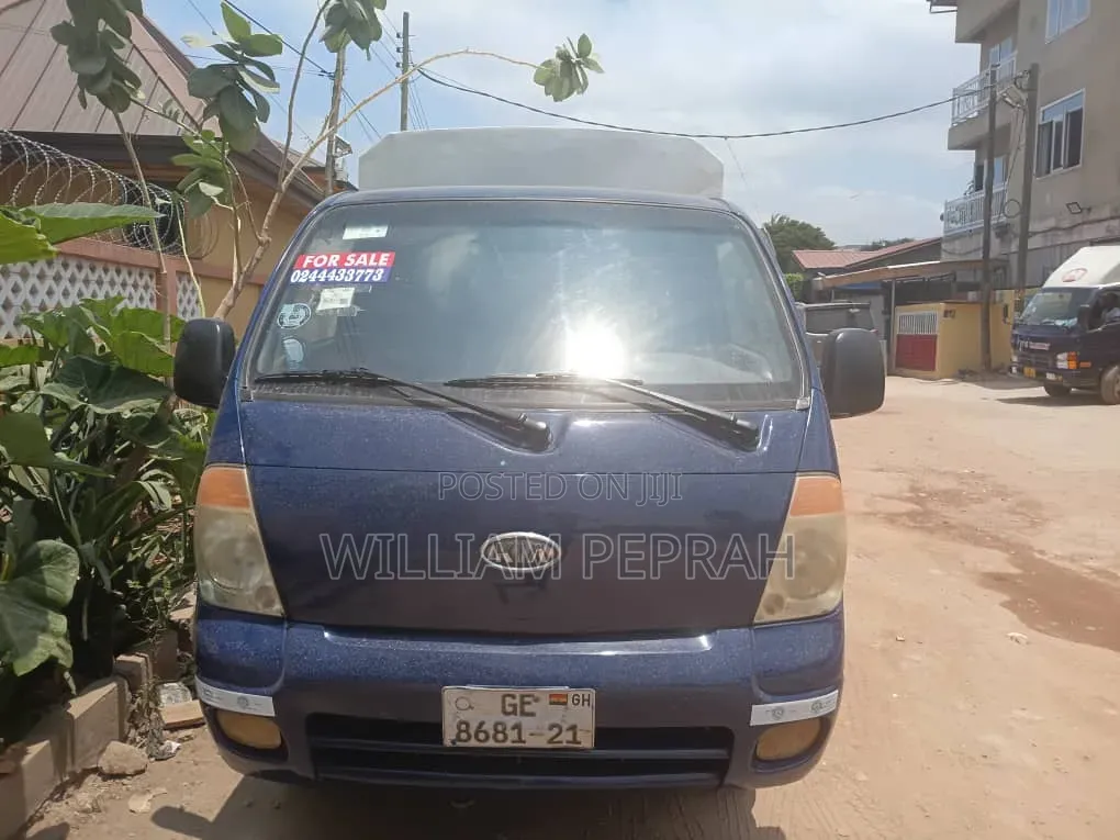 Kia Combi 2008 Blue