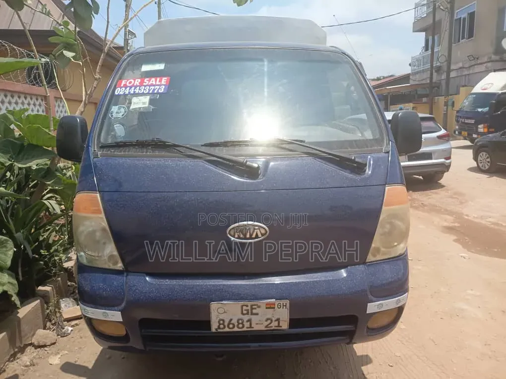 Kia Combi 2008 Blue