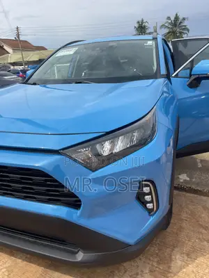 Toyota RAV4 XLE AWD 2019 Blue