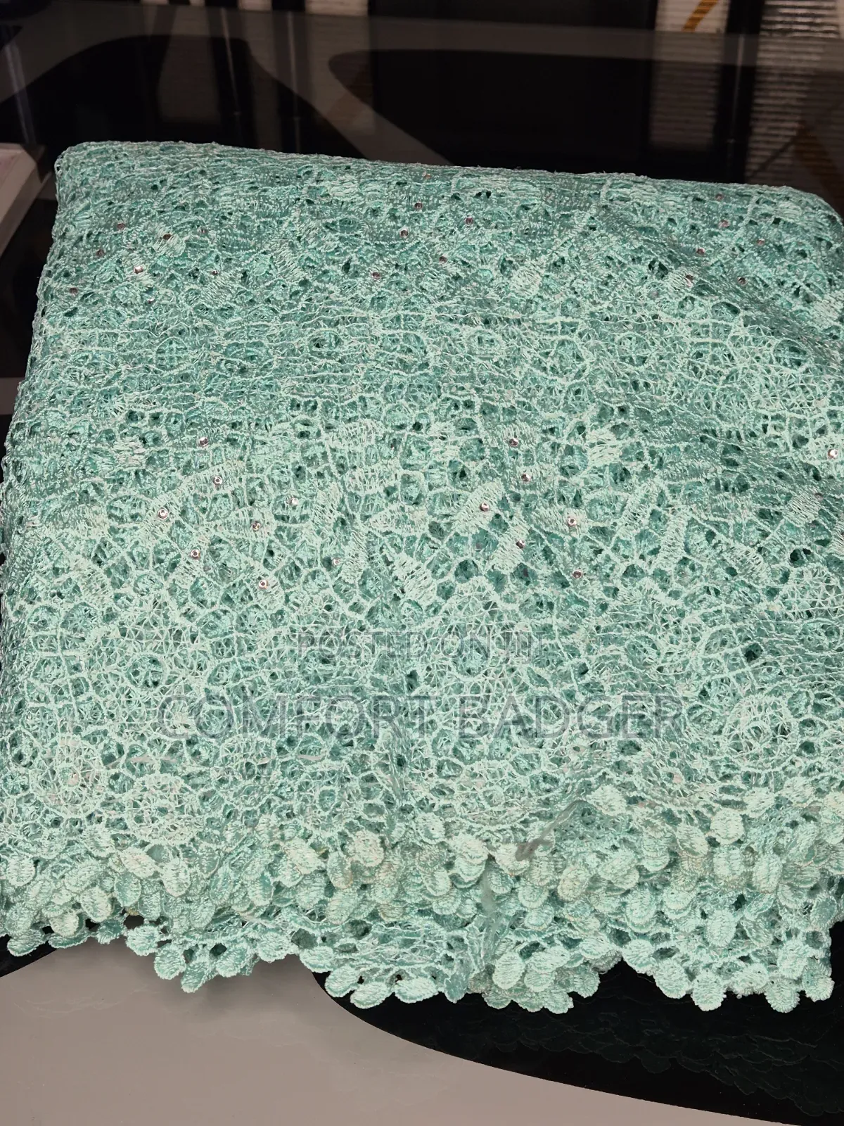 Mint Green Cord (Guipure) Lace With Stone Embellishments