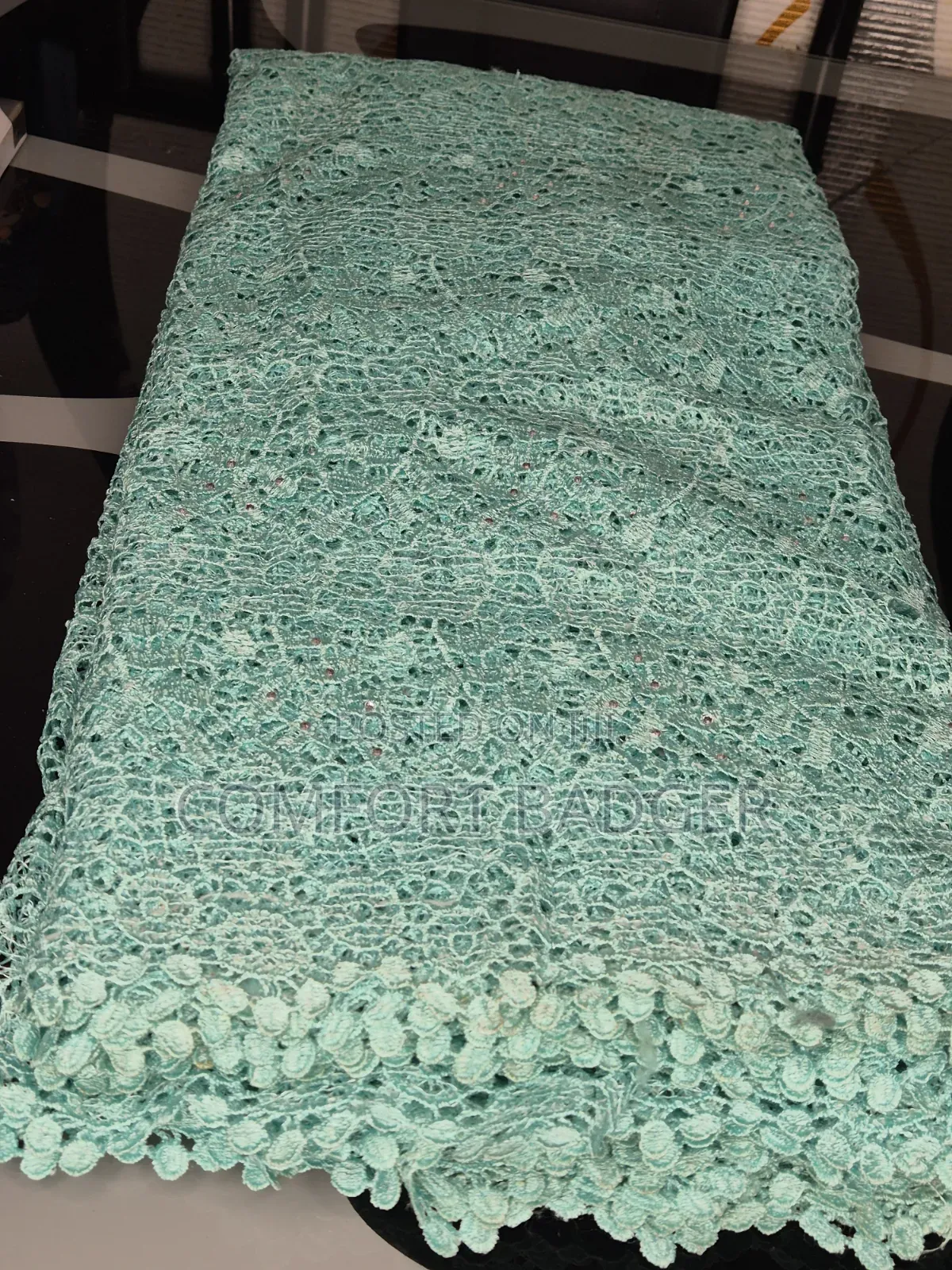 Mint Green Cord (Guipure) Lace With Stone Embellishments