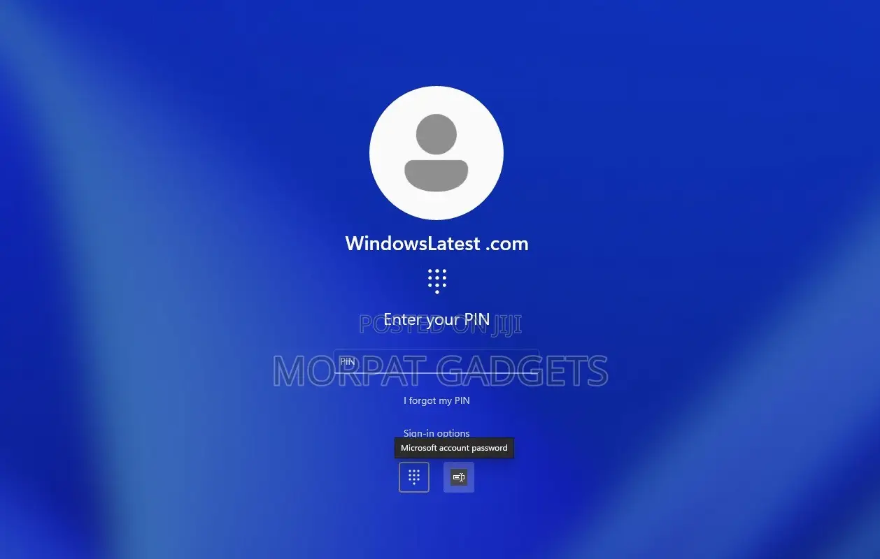 Bypass Your Windows 11 Login Password (Instant Service)