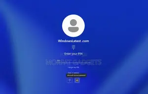 Bypass Your Windows 11 Login Password (Instant Service)