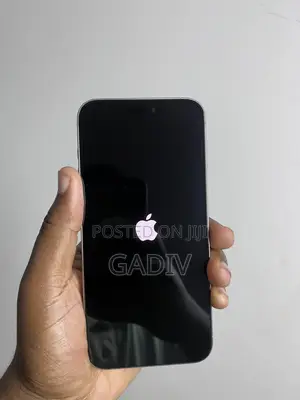 New Apple iPhone 15 Pro Max 256 GB