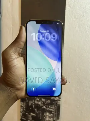 Apple iPhone 13 Pro Max 512 GB Gray