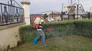Big Feel Fumigation Service