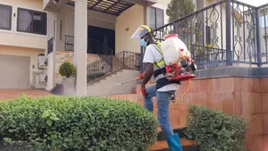 Big Feel Fumigation Service