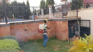 Good Rate Fumigation Service With Cleantex