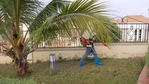 Way Out Fumigation With Cleantex