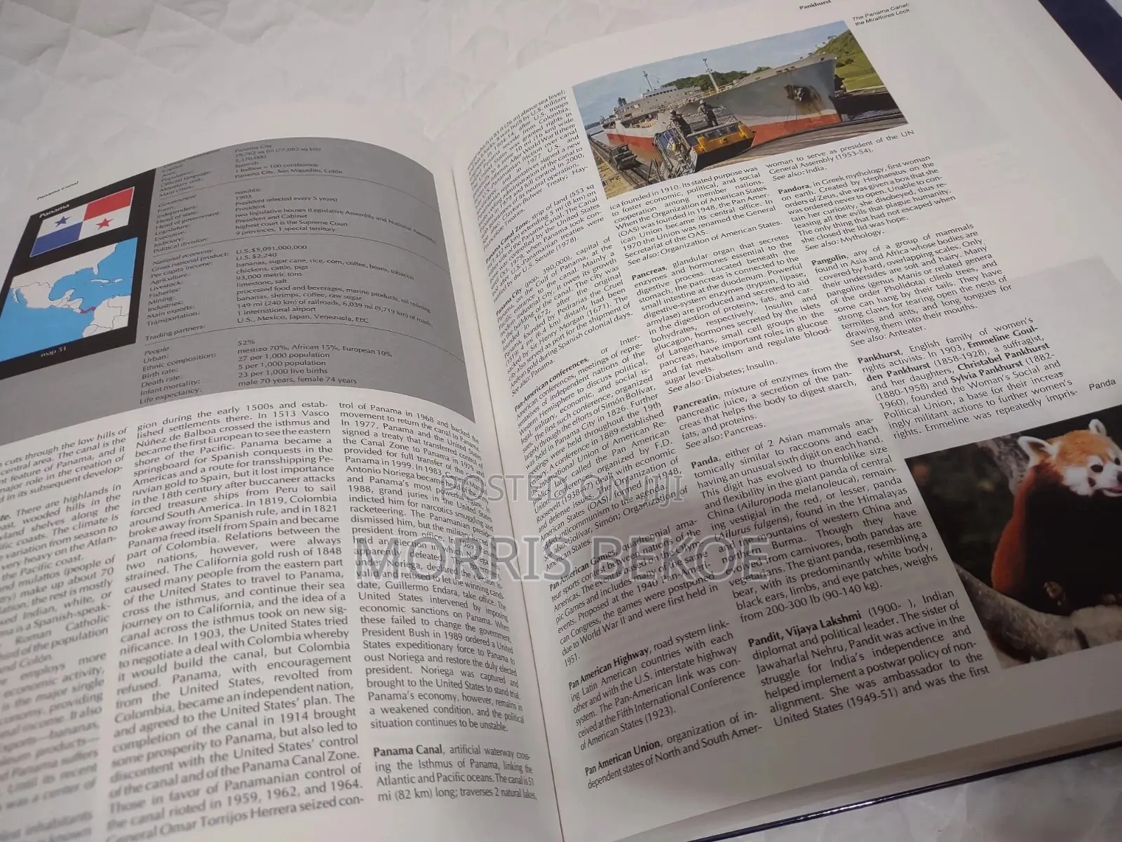 Websters International Encyclopedia