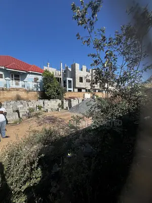 Half Plot for Sale at Ashaley Botwe
