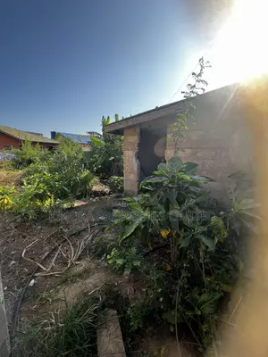 Half Plot for Sale at Ashaley Botwe