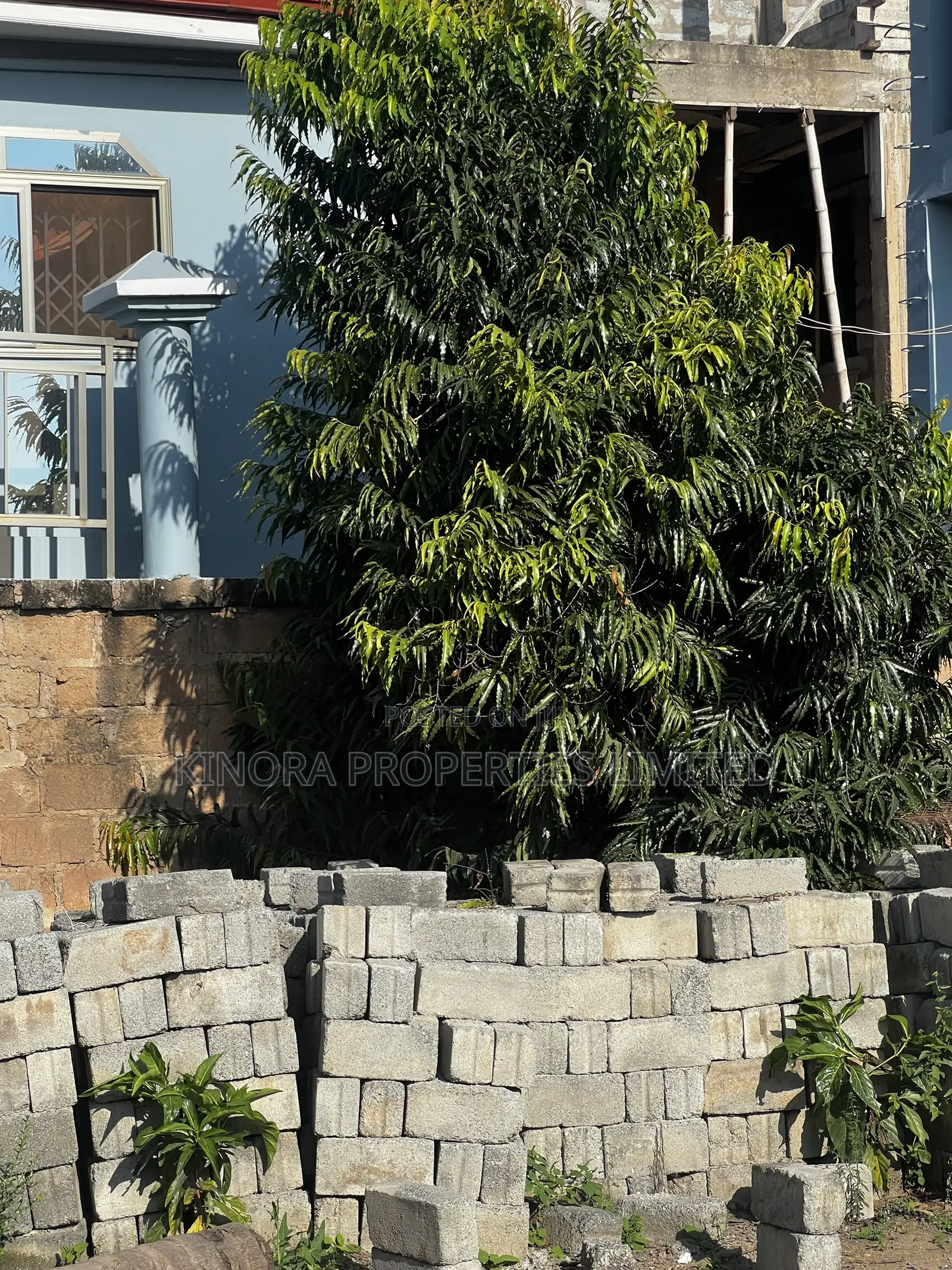 Half Plot for Sale at Ashaley Botwe