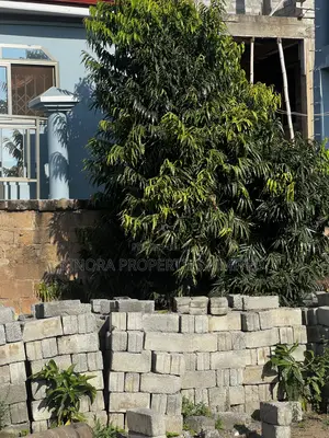 Half Plot for Sale at Ashaley Botwe