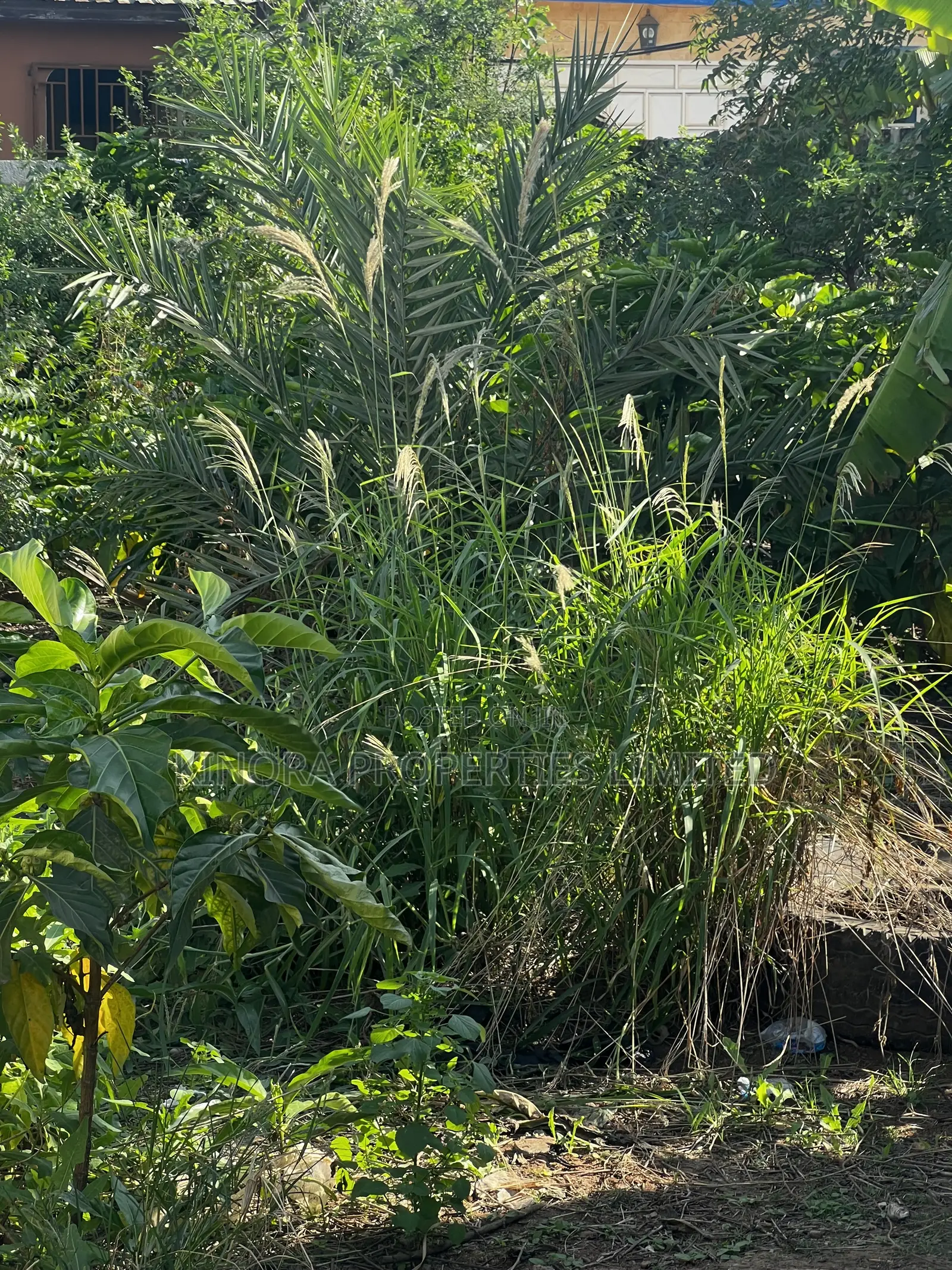 Half Plot for Sale at Ashaley Botwe