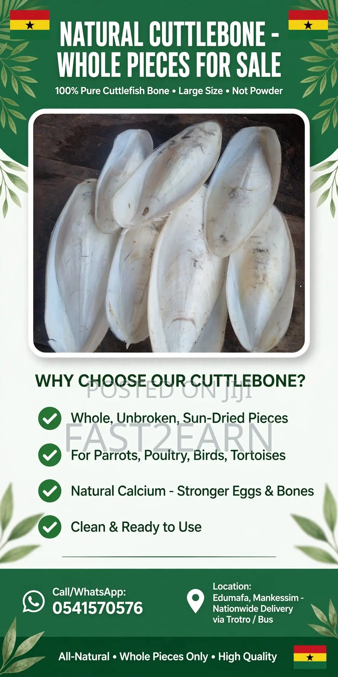 Natural Cuttlebone - Whole Pieces - For Parrots, Poultry, Birds