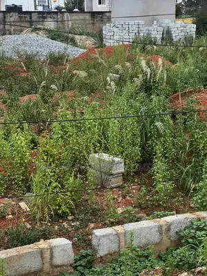 Titled Plot for Sale at Adenta