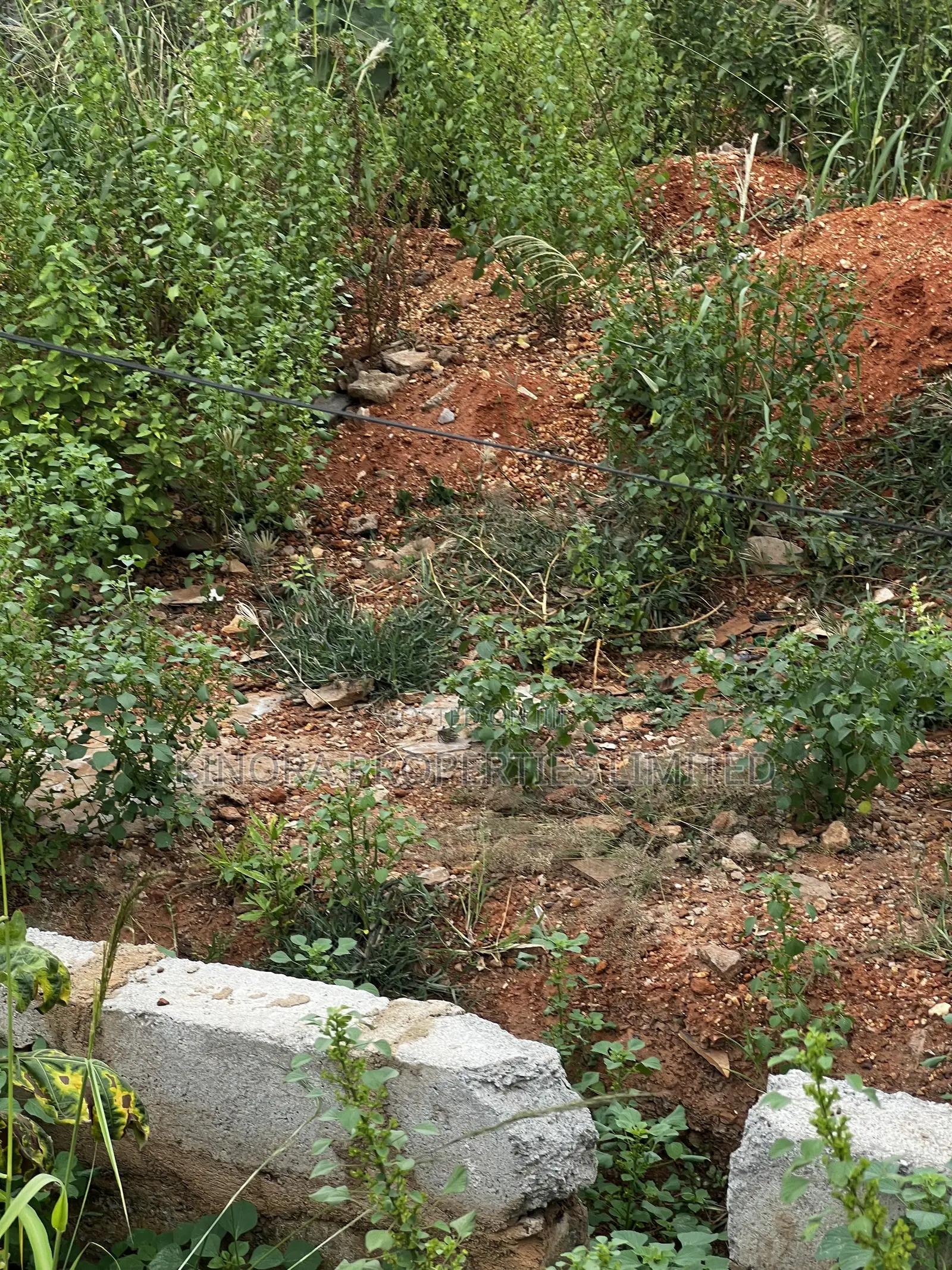 Titled Plot for Sale at Adenta