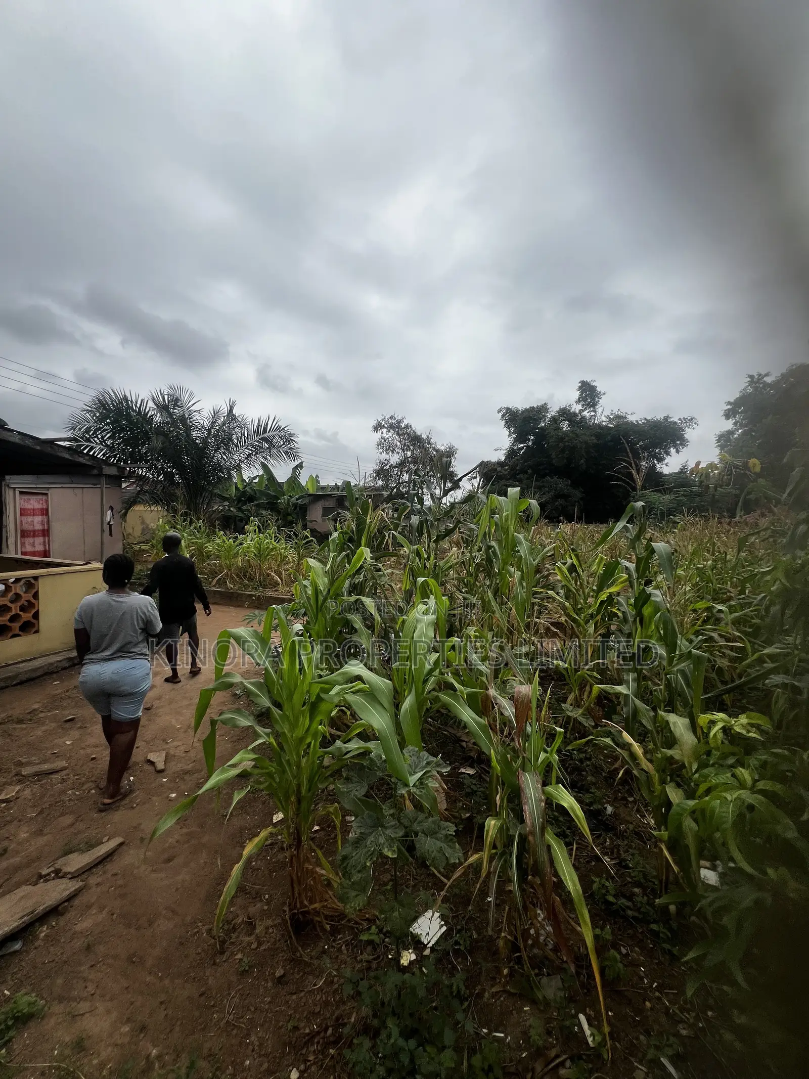Fully Registered Plot for Sale at Adenta Ritz Junction