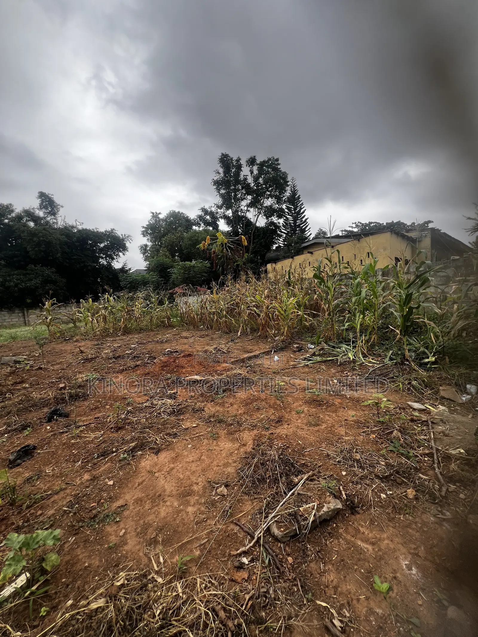 Fully Registered Plot for Sale at Adenta Ritz Junction